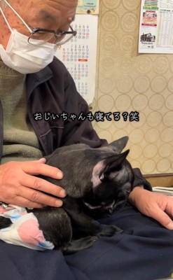 眠ったおじいちゃん