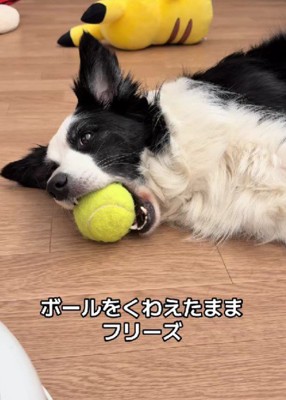 電池が切れてしまった