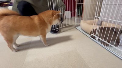 サークルが開かれた