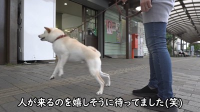人が通ると大はしゃぎ!