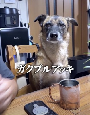 ガタガタガタガタ…
