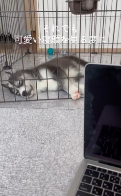 はまちちゃんの成長記録5