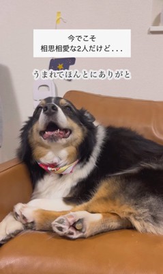 愛を育んできたレアちゃんと男の子3