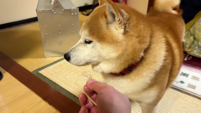 チャーシューはいらない