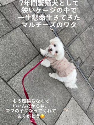 もう頑張らなくていいよ
