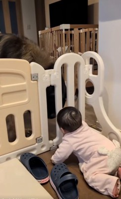 身をかがめるバオバオくん