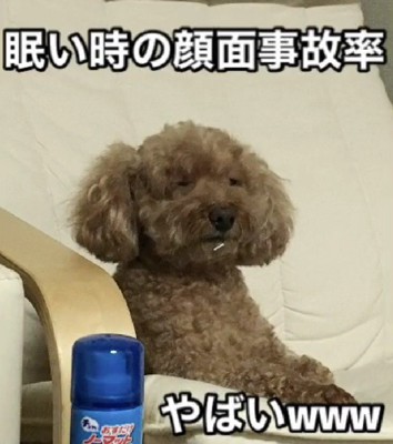 眠いときの顔が…！
