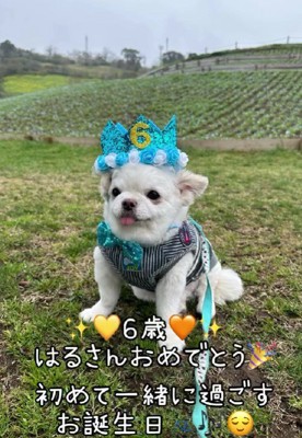 はるちゃん、おめでとう!