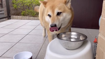 切り替え完了？