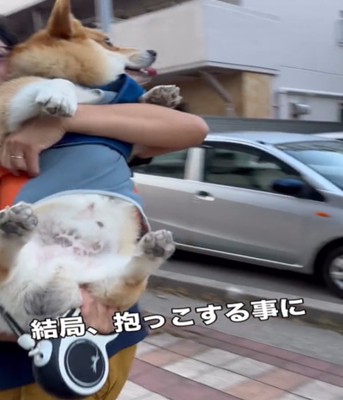 抱っこされる犬