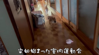 すぐに慣れちゃった!!