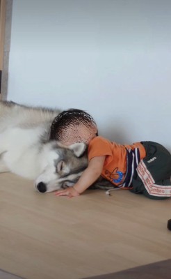 男の子が触れてみたら…