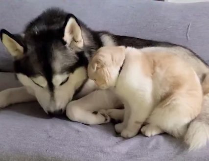 はっちゃんとじゅんちゃん