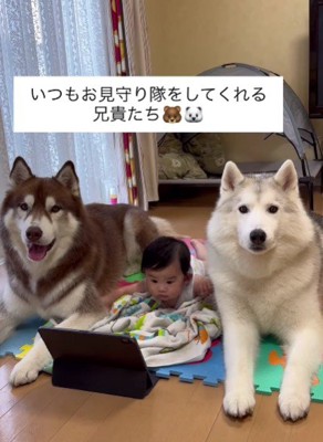 今日も子守りしてくれてる