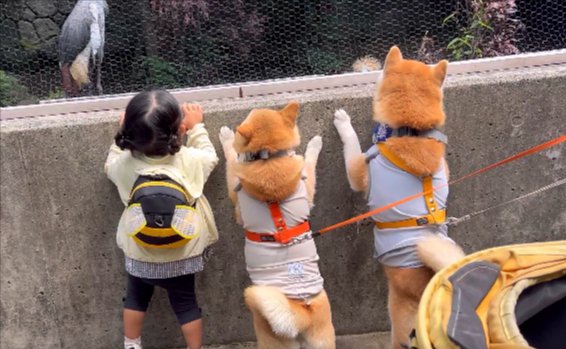 動物園