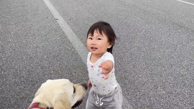 「リードを持たせて!」