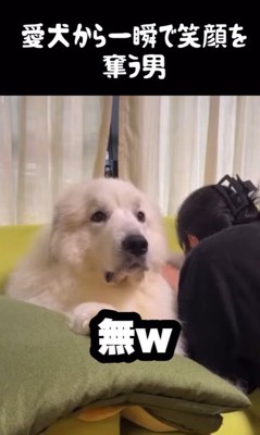 ドレミちゃんの表情の変化7