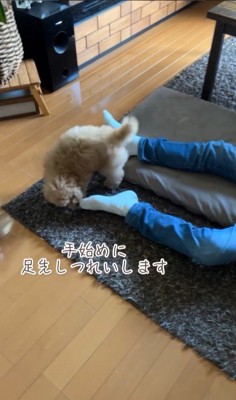 ちゃこたろう君と祖父母の初対面3