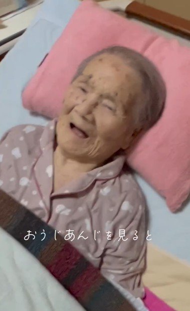 わんこたちを見ると…