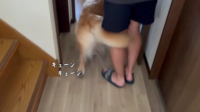 「どこに行ってたの～！」