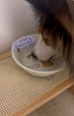 水遊びするさつまくん