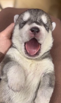 ムウくんの成長