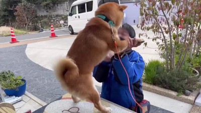 微笑ましい光景にホッコリ