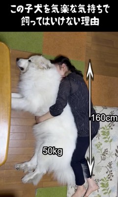 犬吸いされてる