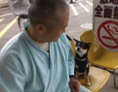 入院中のおじいちゃんと見つめあう黒柴の子犬