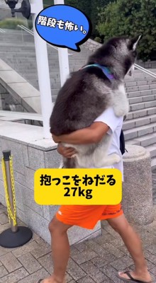 犬を抱っこして歩く飼い主