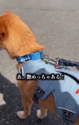 見違えるほど綺麗に！