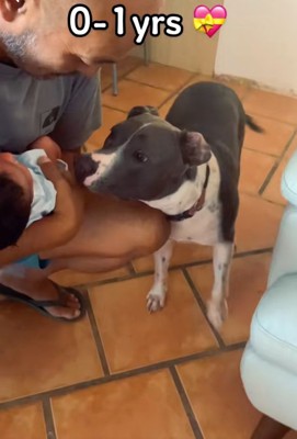 ハリーくんの匂いを嗅ぐゆめちゃん