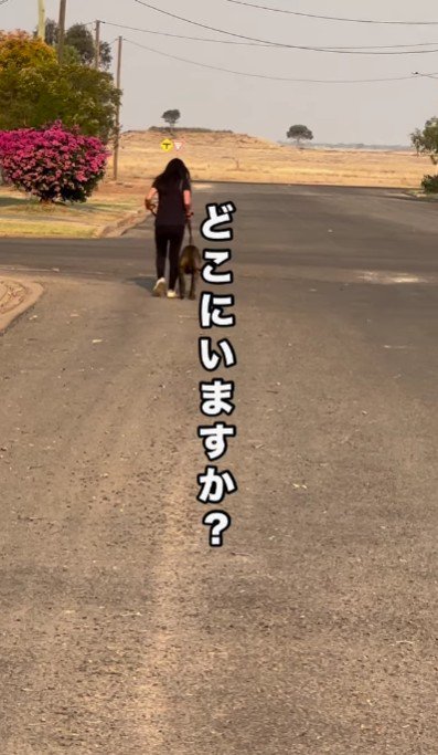 投稿主さんに保護された