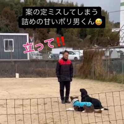 訓練中に乱入するポリくん7