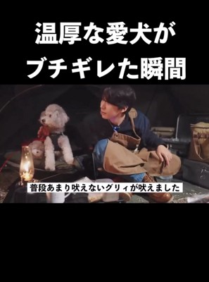 吠えて守ってくれました