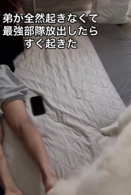 足裏をペロペロ