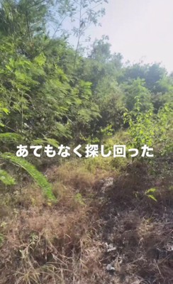 人間に怯えて隠れてしまった