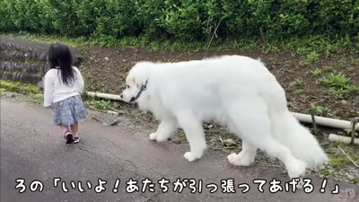 やっと歩き出した♪