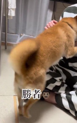 この日の勝者はパパ