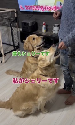 私もシェリーです