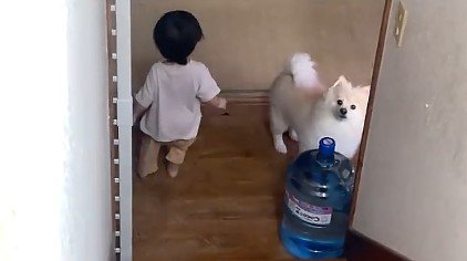 かくれんぼしてるみたい!?