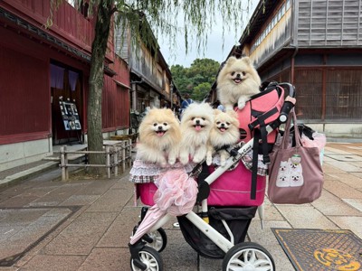 仲良し