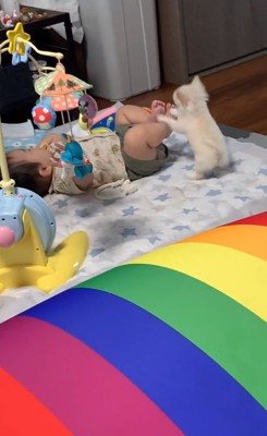 遊びに誘うもこちゃん