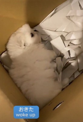 ようやく目を開けた