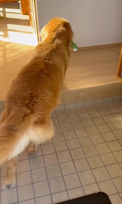 お手伝いするホット君6