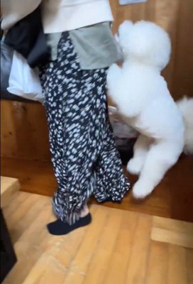 RAUくんの熱烈大歓迎4