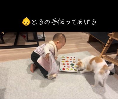 邪魔な物をどけてくれる赤ちゃん