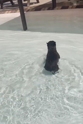 ルンルンのぶん太くん1