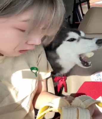 バナナを食べる犬3