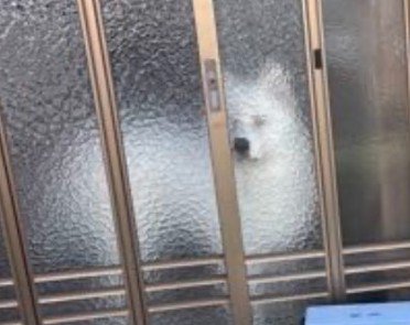 シュールな光景にホッコリ♡